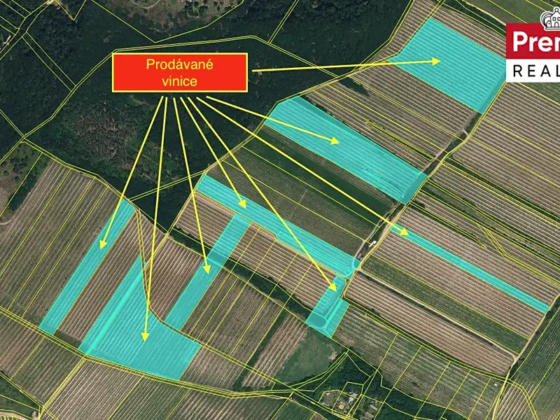 Prodej sadu, vinice 86440 m², Nový Šaldorf-Sedlešovice – náhled fotky 2