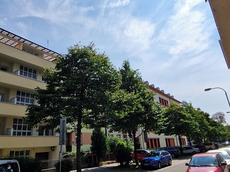 Ostatní