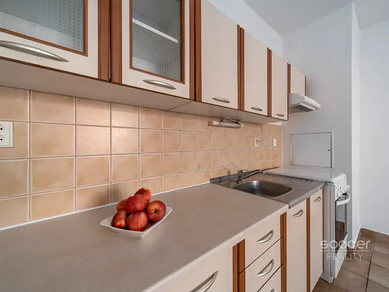 Pronájem bytu 2+kk 43 m², Mladá Boleslav – náhled fotky 2