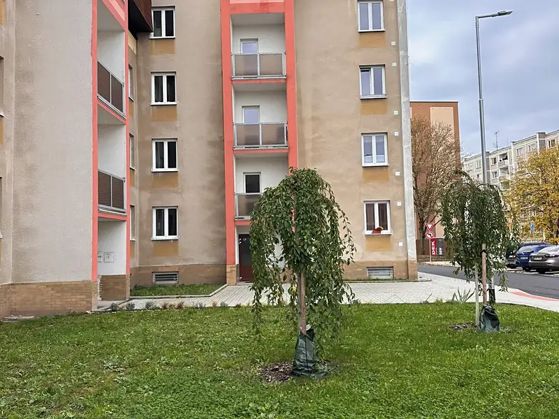 Prodej bytu 1+1 35 m², Sokolov – náhled fotky 2