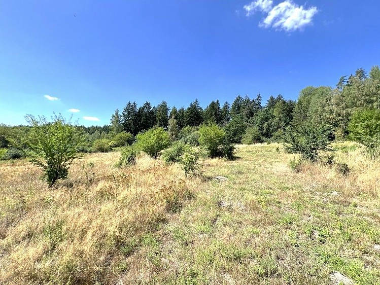 Grundstück zum Kauf, 8.000 m² (10 von 27)