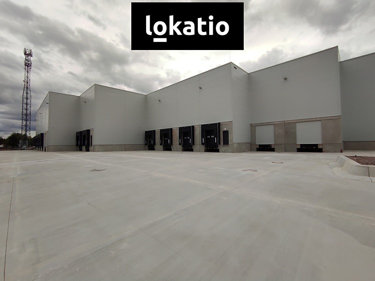 Pronájem komerčního prostoru, 3 858 m² (7 z 13)