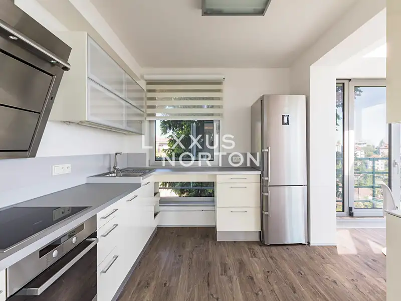 Pronájem bytu 5+kk 202 m², Praha – náhled fotky 2