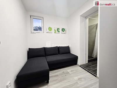 Wohnung 1+kk zur Miete, 20 m² (3 von 15)