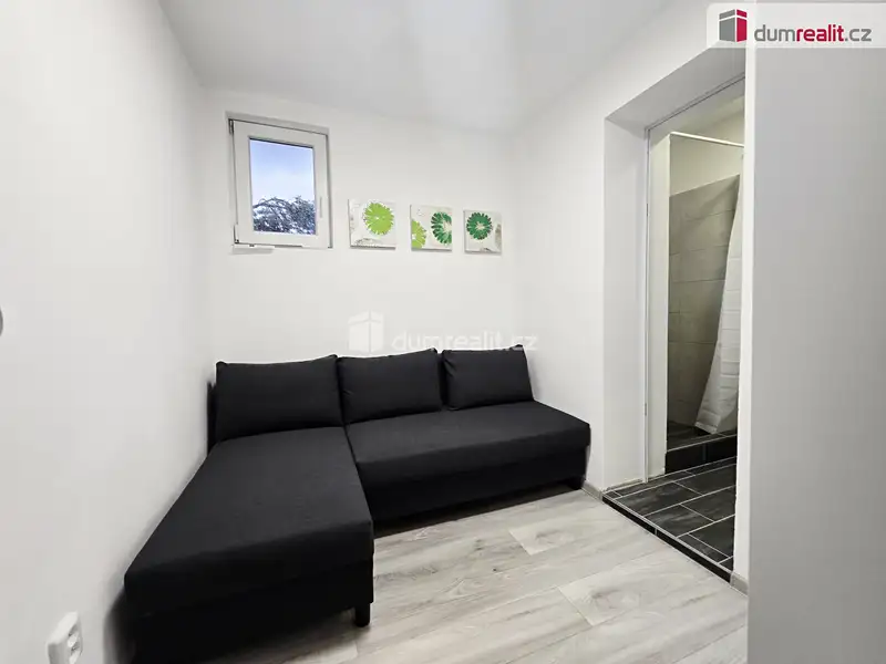Pronájem bytu 1+kk 20 m², Lužná – náhled fotky 3