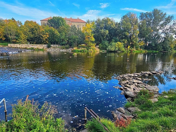 Ostatní