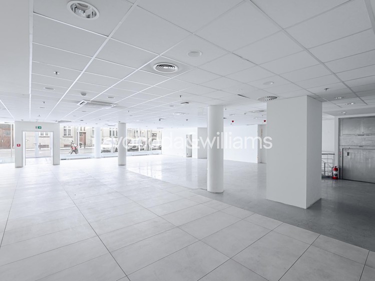 Pronájem komerčního prostoru, 348 m² (1 z 11)