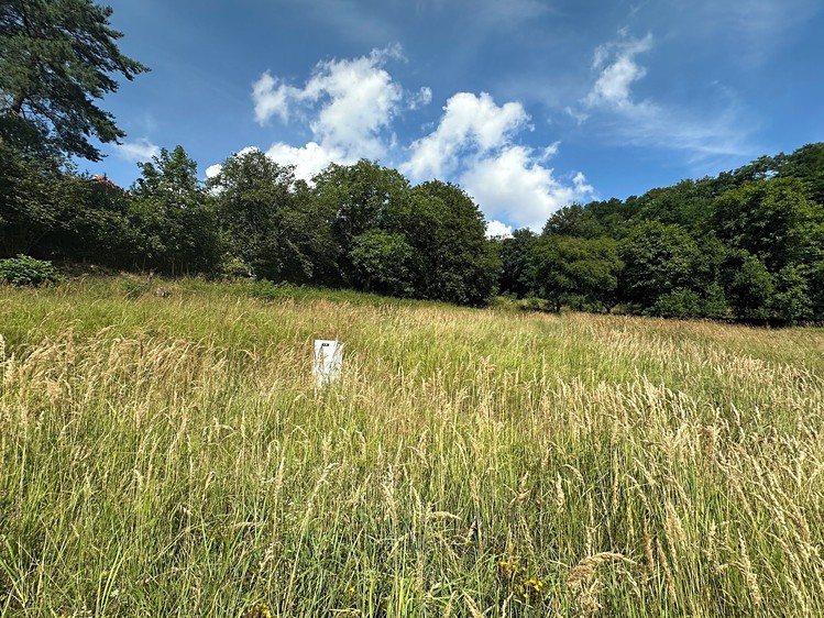 Prodej pozemku, 1 084 m² (7 z 11)