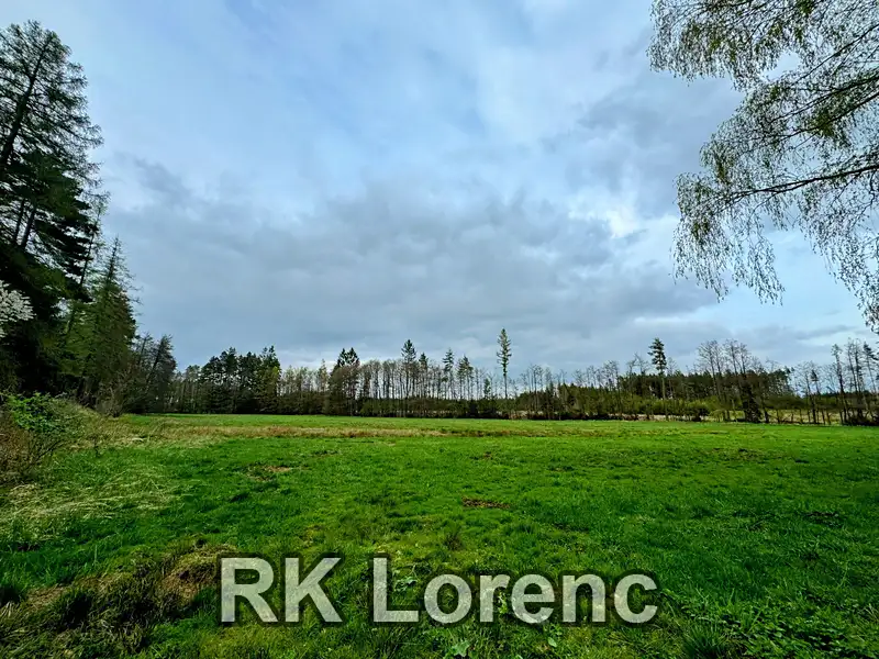 Prodej louky 5265 m², Radostín nad Oslavou – náhled fotky 2