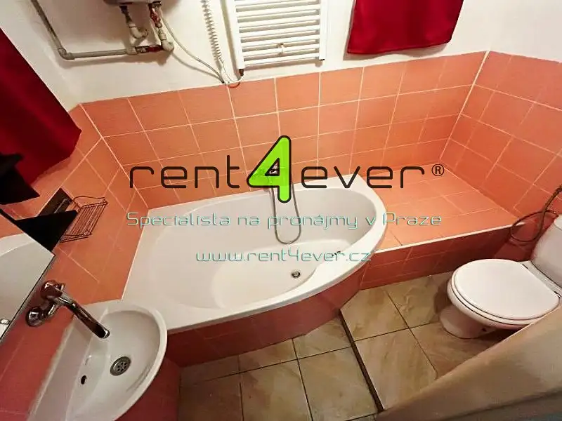 Pronájem bytu 2+1 50 m², Praha – náhled fotky 2