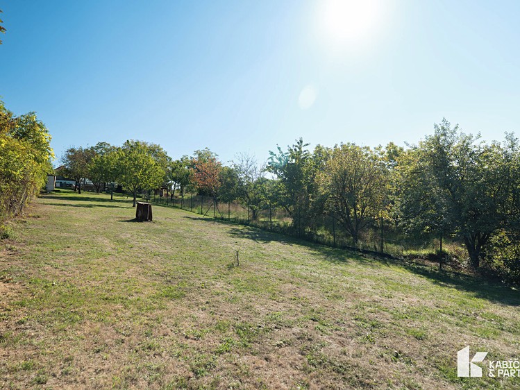 Ostatní