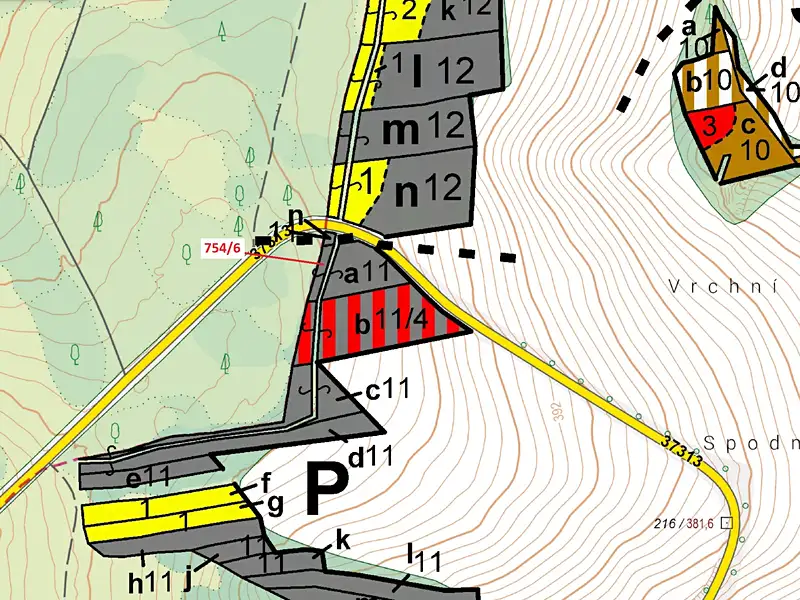 Dražba lesa 294 m², Loučka – náhled fotky 2