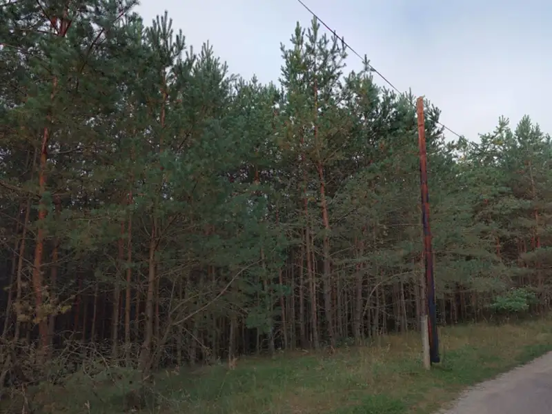 Prodej lesa 27344 m², Stráž nad Nežárkou – náhled fotky 3