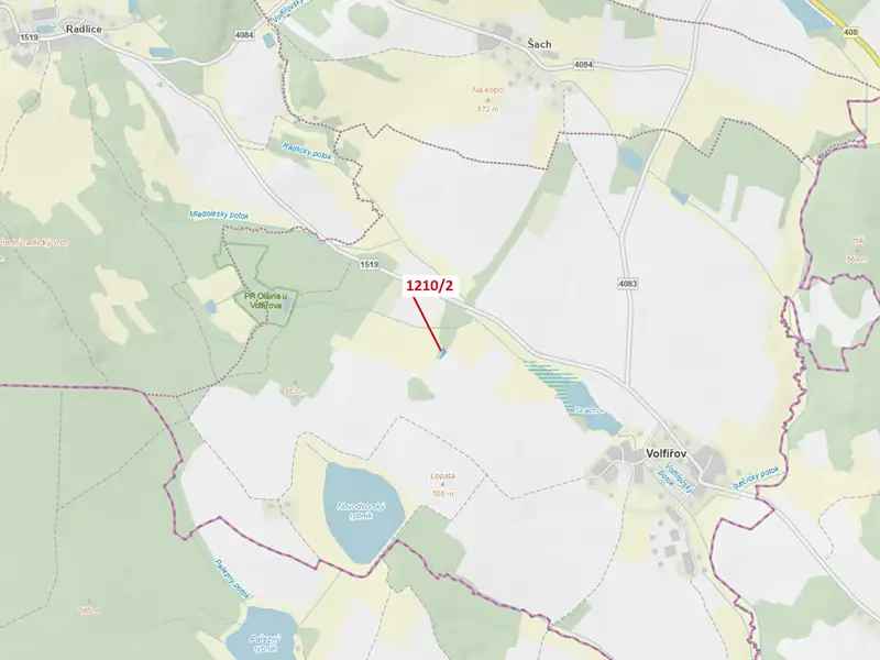 Dražba lesa 705 m², Volfířov – náhled fotky 1
