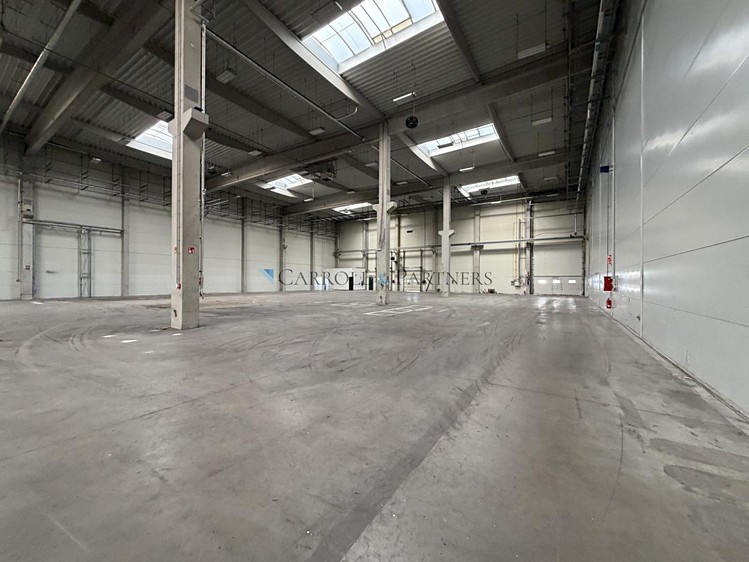 Pronájem komerčního prostoru, 4 000 m² (5 z 6)