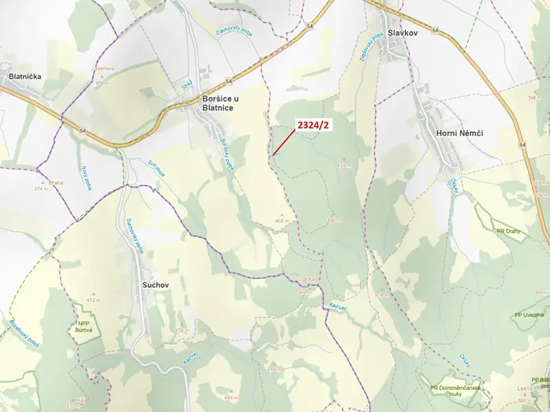 Dražba lesa 1060 m², Slavkov – náhled fotky 1