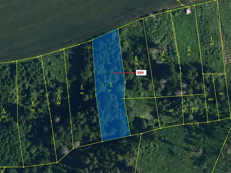 Dražba lesa 2054 m², Chotěbudice – náhled fotky 2