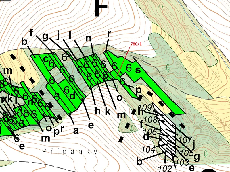 Dražba lesa 659 m², Jalubí – náhled fotky 3