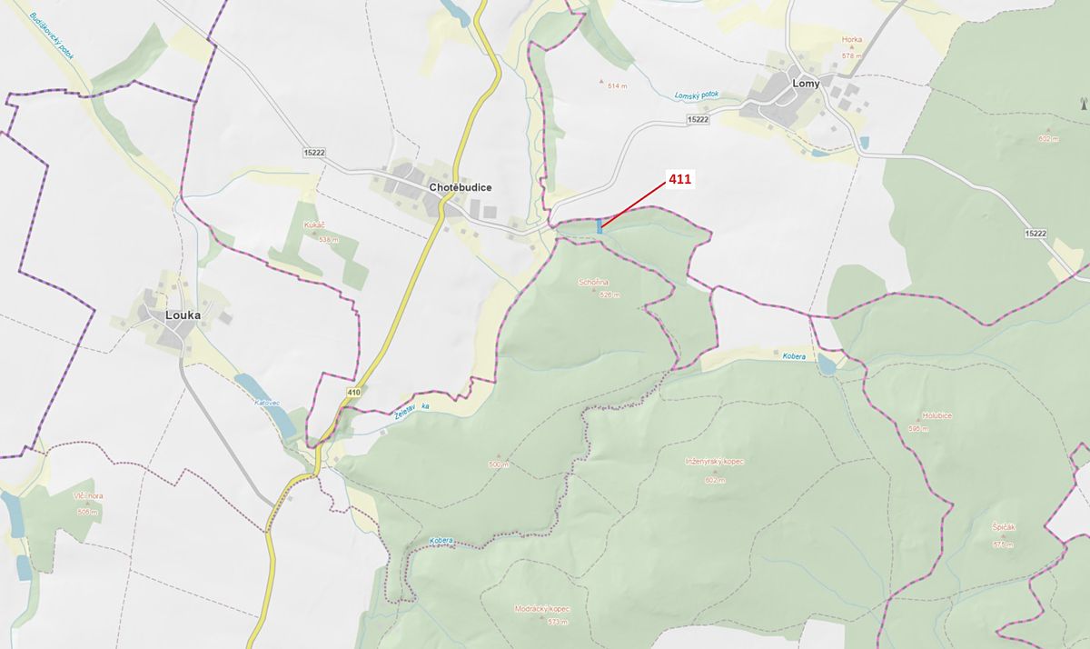 Dražba lesa 1979 m², Chotěbudice – fotka 1 z 3