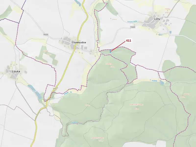 Dražba lesa 1979 m², Chotěbudice – náhled fotky 1