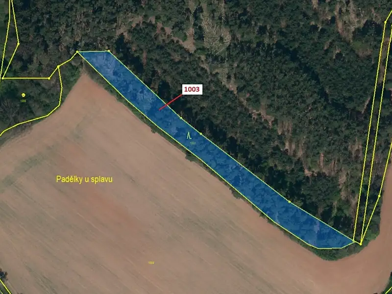 Dražba lesa 3001 m², Náměšť nad Oslavou – náhled fotky 2