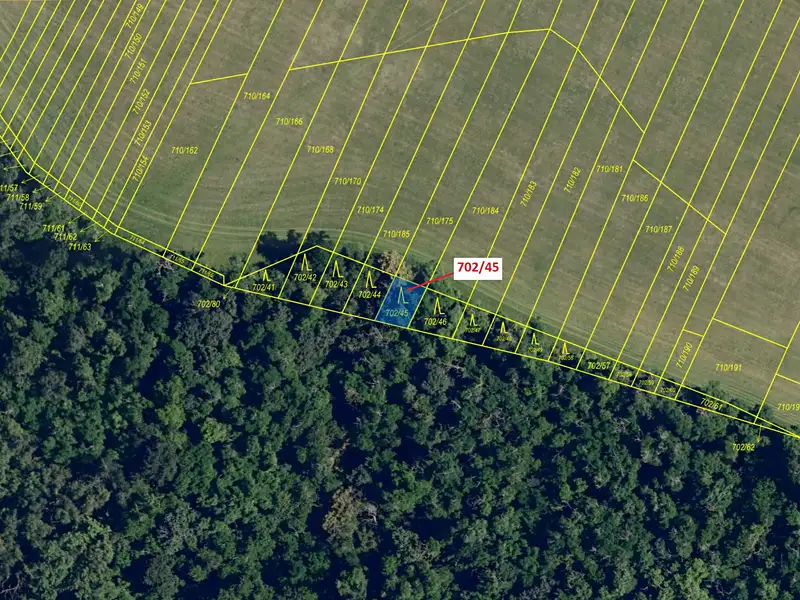 Dražba lesa 103 m², Čučice – náhled fotky 2