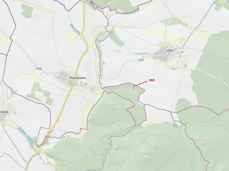 Dražba lesa 1822 m², Chotěbudice – náhled fotky 1