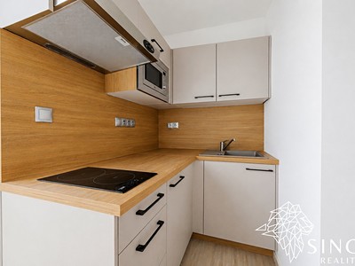 Квартира 1+kk в оренду, 28 м² (2 з 17)
