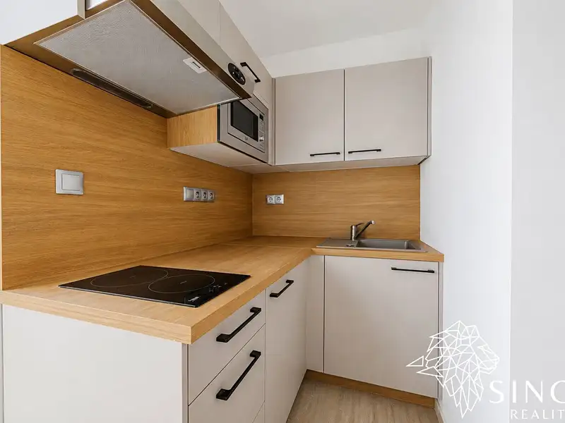 Pronájem bytu 1+kk 28 m², Prostějov – náhled fotky 2