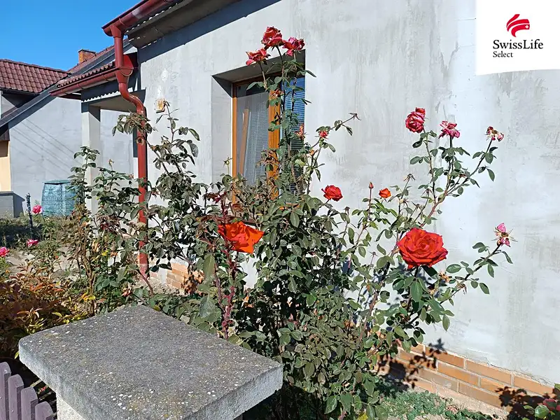 Pronájem rodinného domu 160 m², pozemek 382 m², Trnava – náhled fotky 3