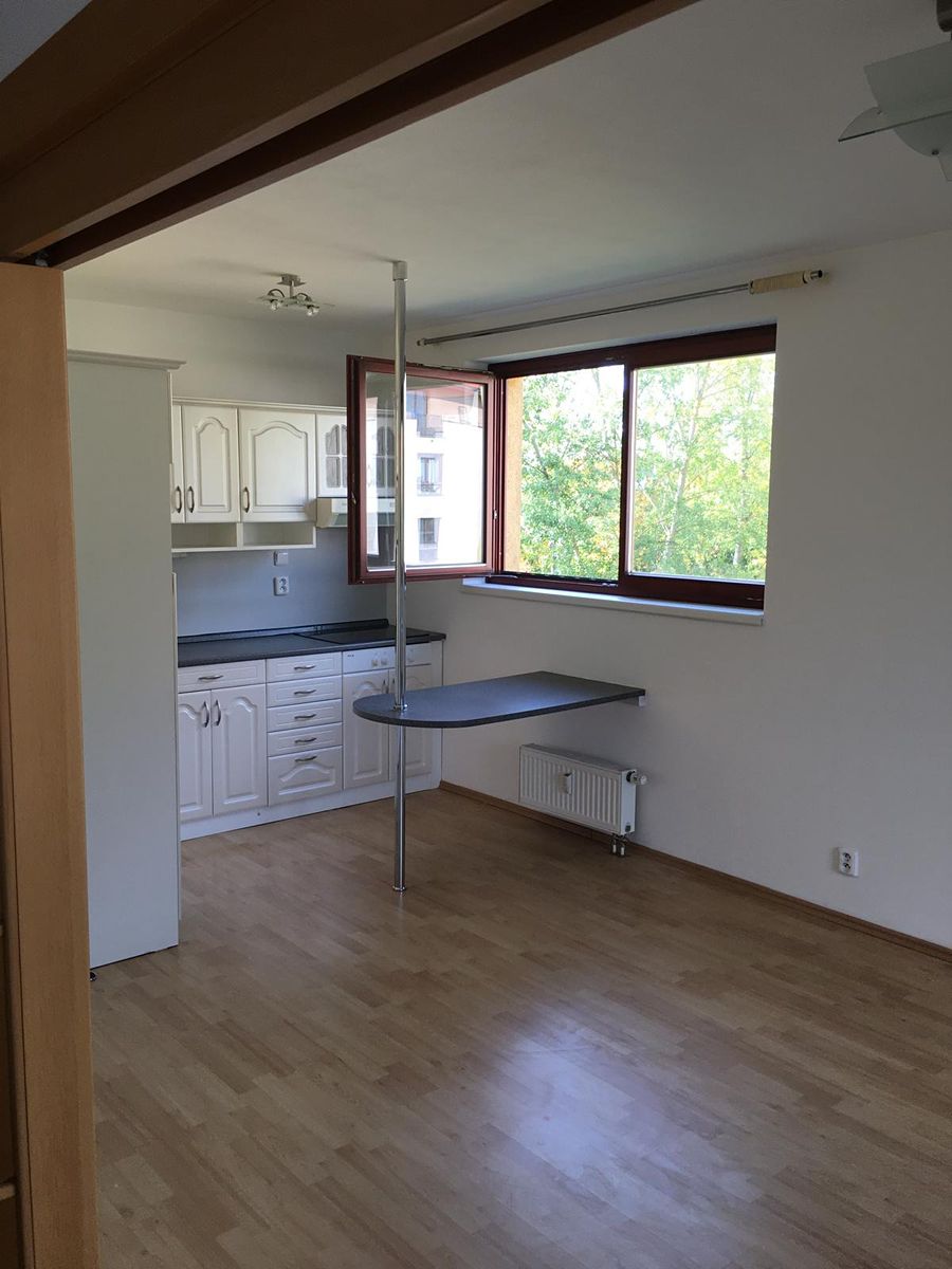 Pronájem bytu 2+kk 43 m² – fotografie 3
