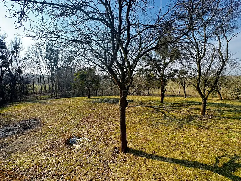 Prodej stavebního pozemku 3362 m², Vítonice – náhled fotky 2