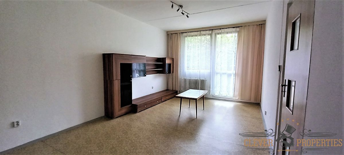 Pronájem bytu 1+1 43 m² – fotografie 3