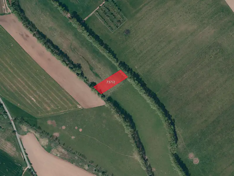 Prodej louky 2457 m², Rokytnice nad Rokytnou – náhled fotky 1