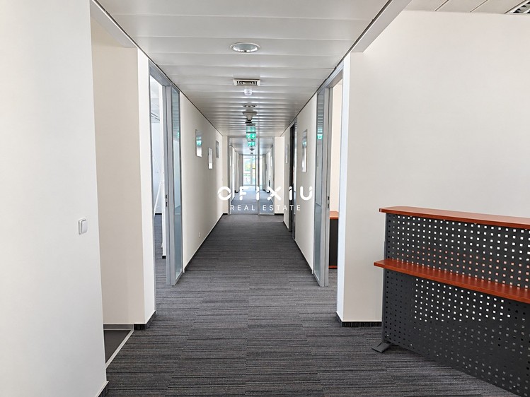 Gewerbefläche zur Miete, 460 m² (7 von 21)