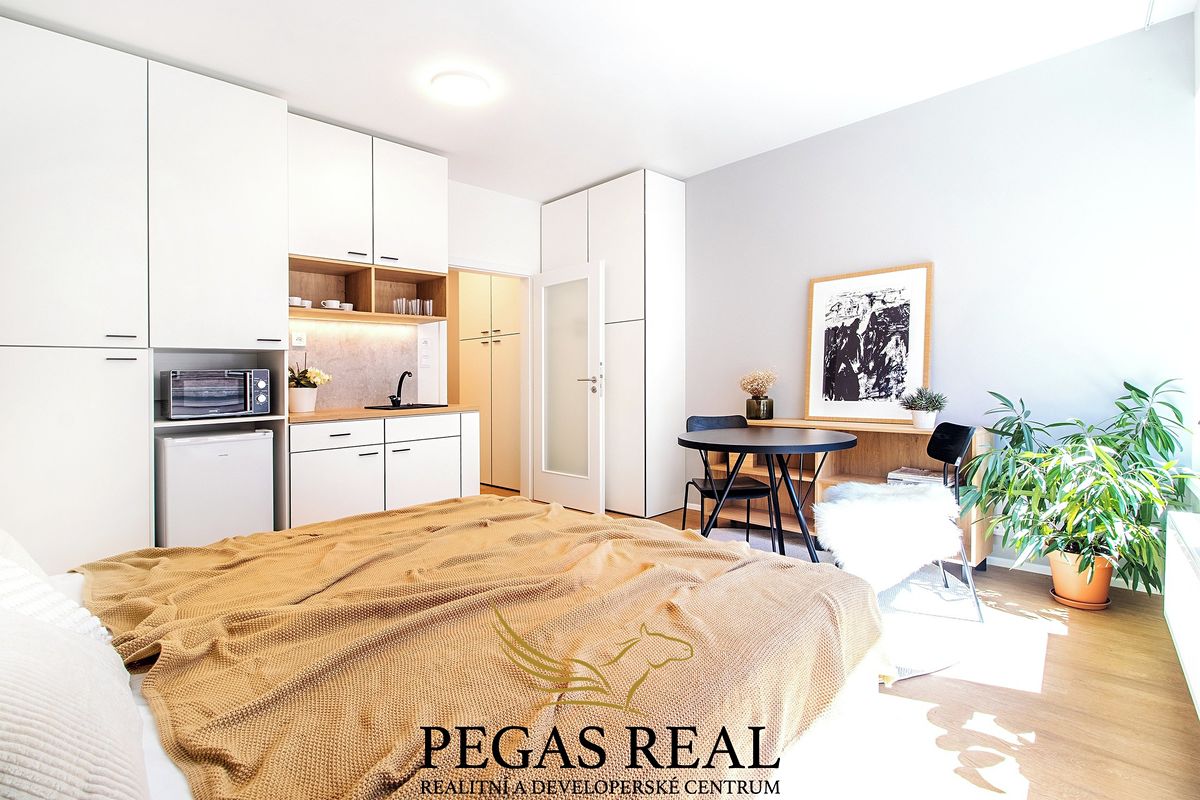 Pronájem bytu 1+kk 28 m², Brno – fotka 1 z 3