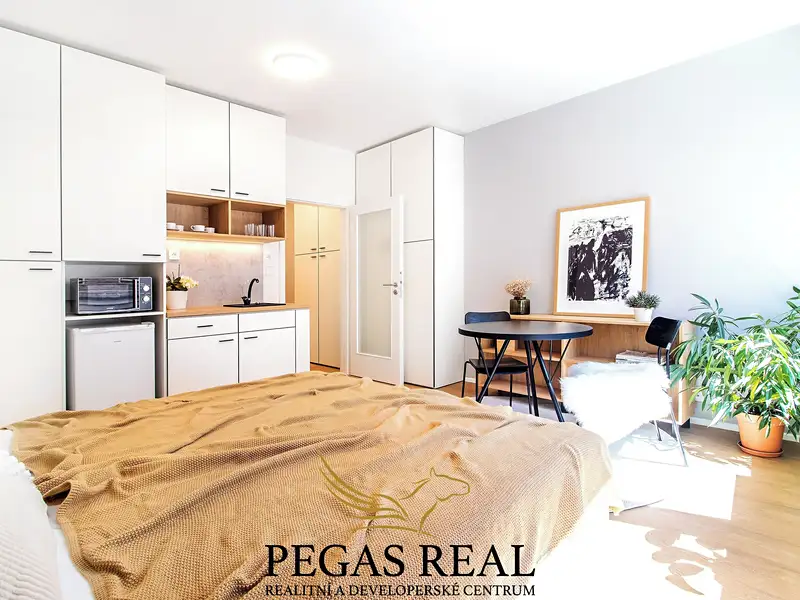 Pronájem bytu 1+kk 28 m², Brno – náhled fotky 1