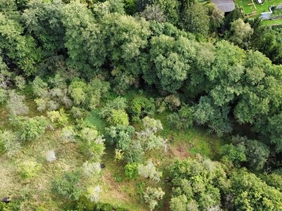 Grundstück zum Kauf, 1.984 m² (2 von 5)