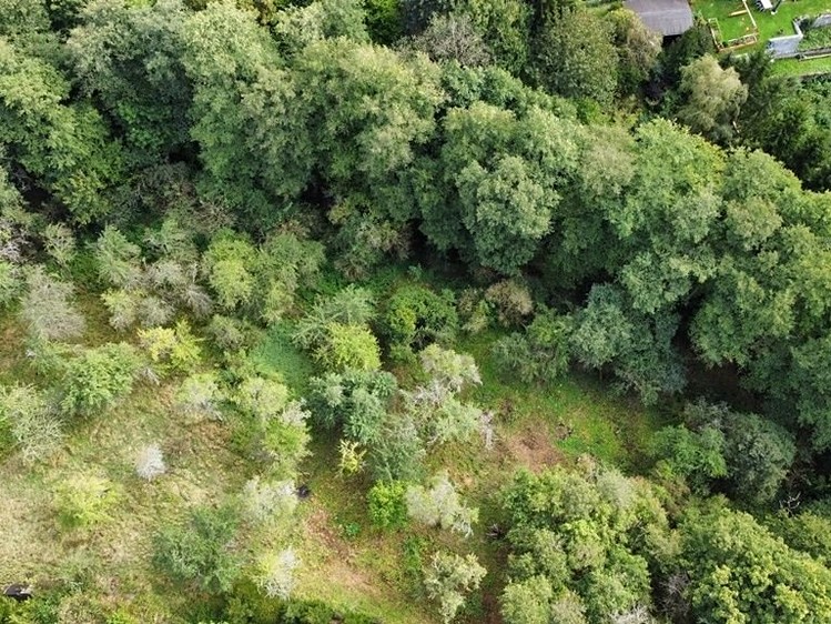 Grundstück zum Kauf, 1.984 m² (2 von 5)