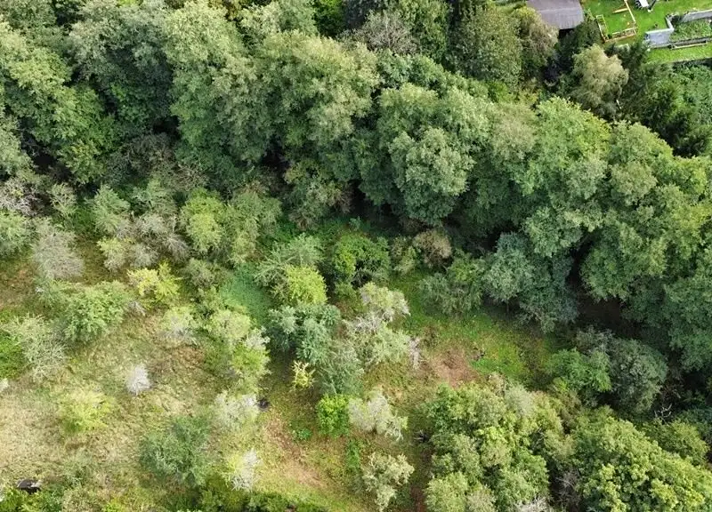 Prodej zahrady 1984 m², Hýskov – náhled fotky 2