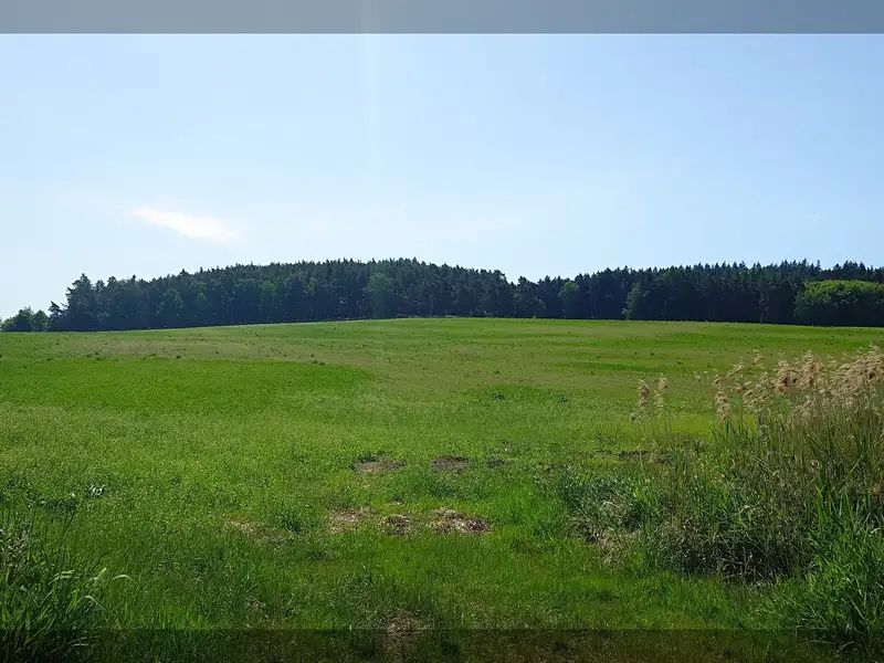 Prodej louky 66896 m², Cehnice – náhled fotky 3