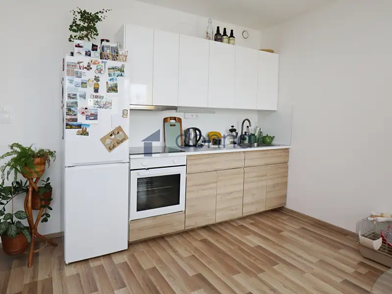 Pronájem bytu 1+kk 33 m², Praha – náhled fotky 2