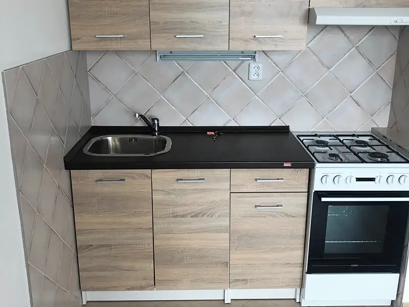 Pronájem bytu 1+1 42 m², Cvikov – náhled fotky 1