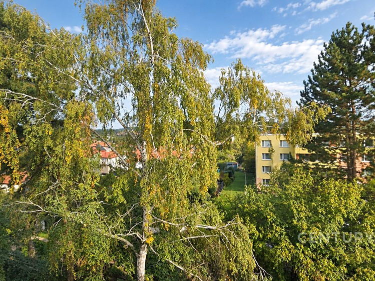 Ostatní