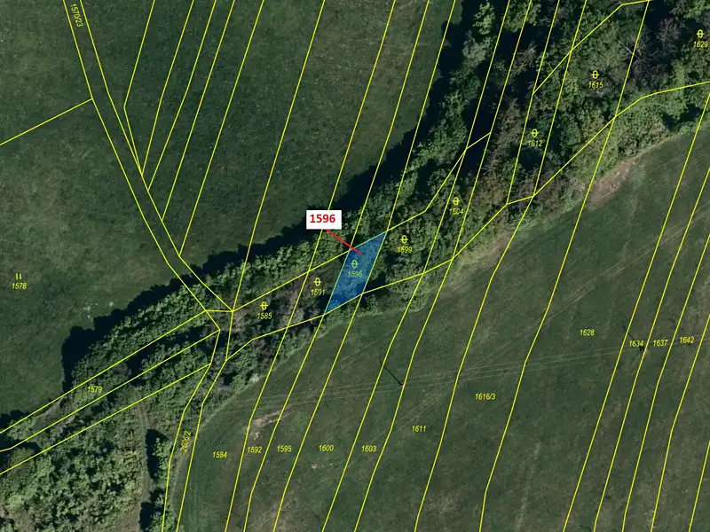 Dražba pozemku 140 m², Ludkovice – náhled fotky 2