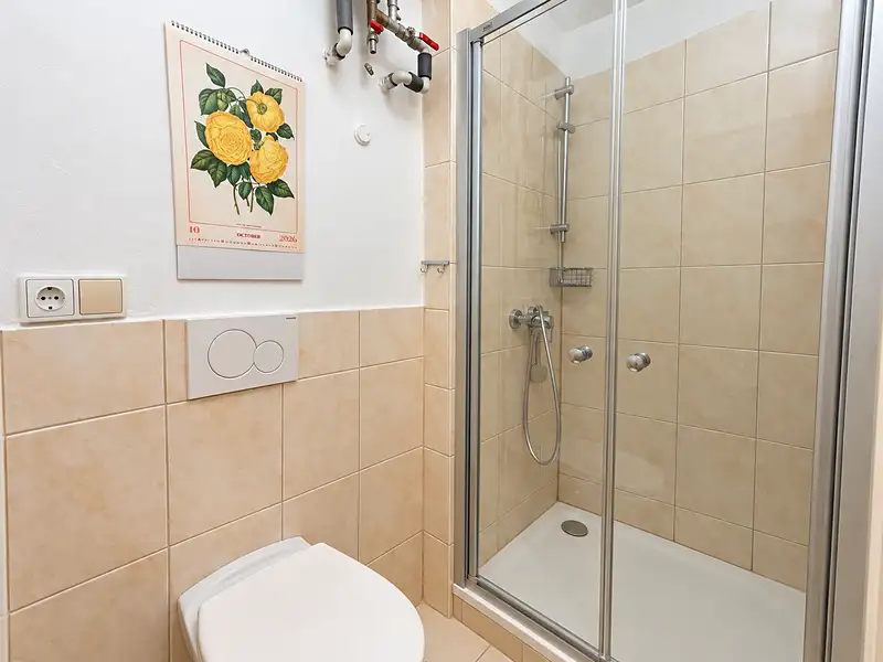 Pronájem bytu 1+kk 21 m², Počátky – náhled fotky 3