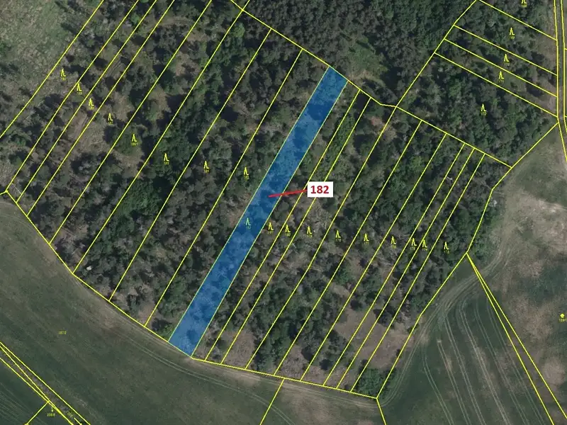 Dražba lesa 2665 m², Klučov – náhled fotky 2