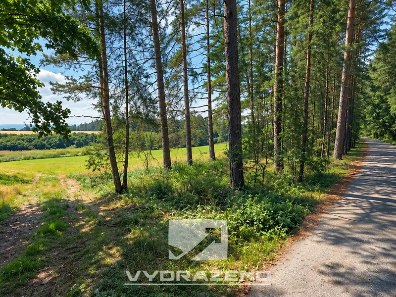 Prodej lesa 1726 m², Chrášťany – náhled fotky 3