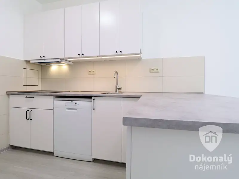 Pronájem bytu 3+kk 72 m², Praha – náhled fotky 1