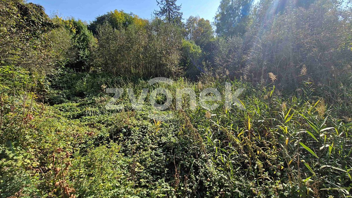 Prodej rybníku (vodní plochy) 2136 m² – fotografie 5